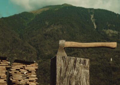 Forest line of wooden handles Foppoli Bramin