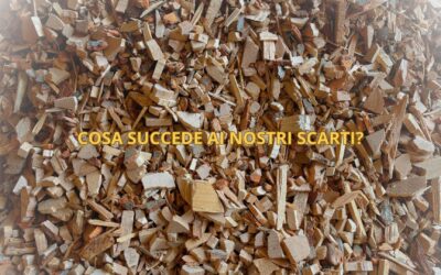 From Waste to Value