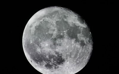 Wood Cutting and Lunar Cycles