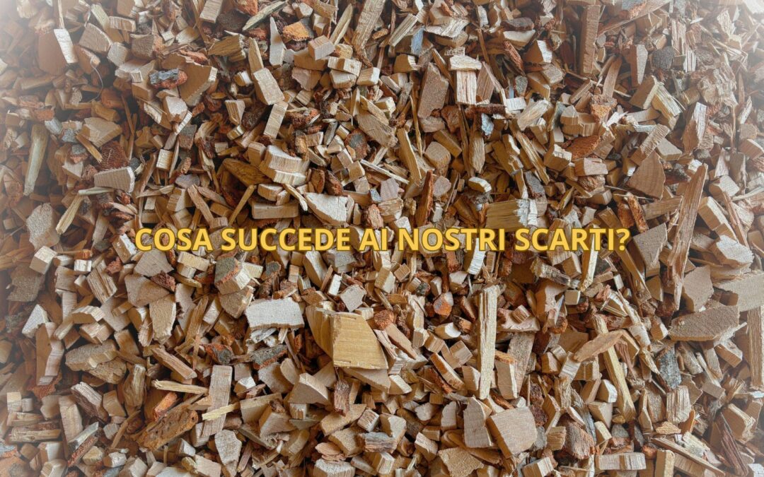 Da scarto a valore