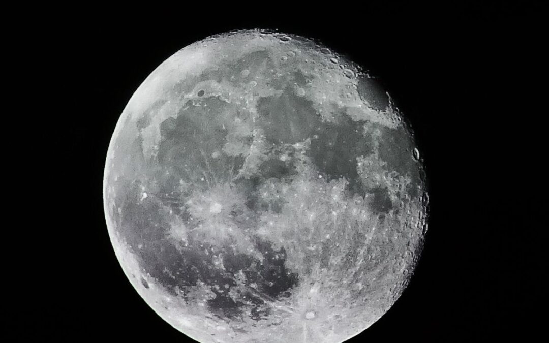 Il taglio del legno e i cicli lunari