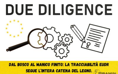 EUDR: come funziona il nuovo Regolamento Europeo contro la deforestazione